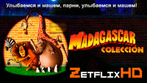 Коллекция: Мадагаскар