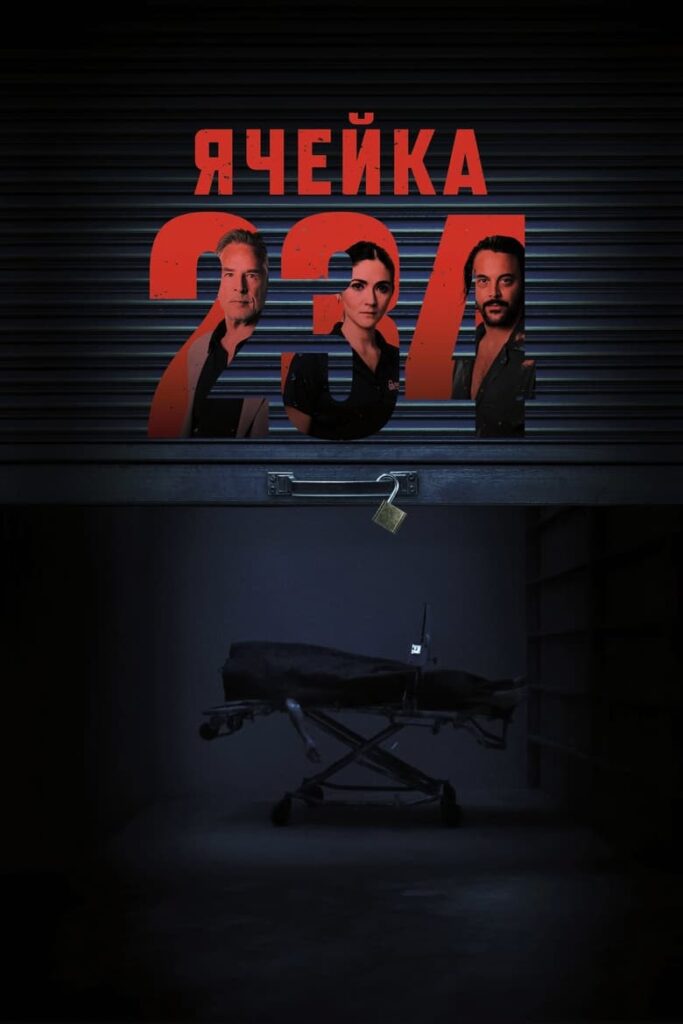 Fake Video